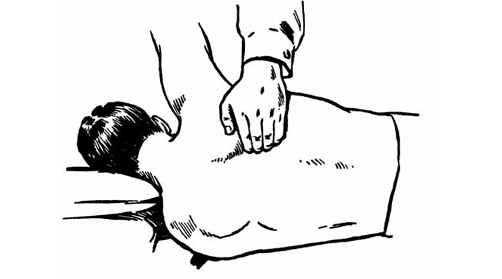 Magen-Darm